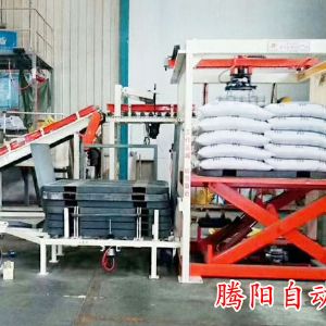 山東騰陽(yáng)全自動(dòng)碼垛機(jī)滿足您所有應(yīng)用的需求