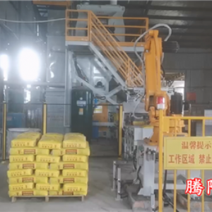 水泥砂漿雙線(xiàn)雙爪國(guó)產(chǎn)碼垛機(jī)器人